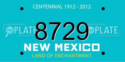8729 New Mexico License Plate
