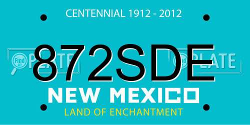 872SDE New Mexico License Plate