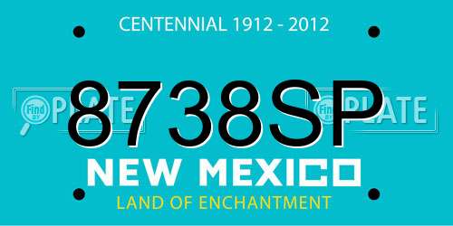 8738SP New Mexico License Plate