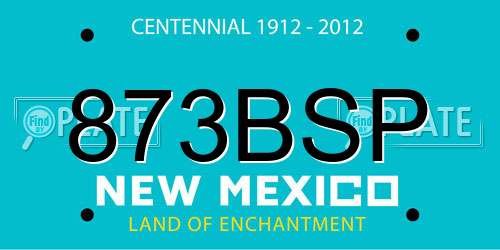 873BSP New Mexico License Plate