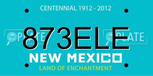 873ELE New Mexico License Plate