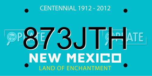 873JTH New Mexico License Plate