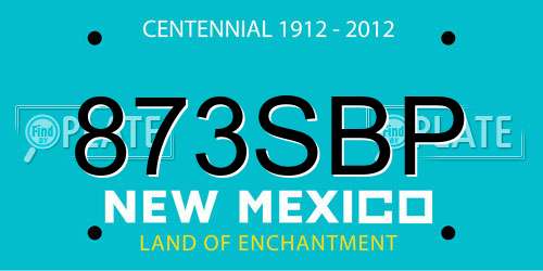 873SBP New Mexico License Plate