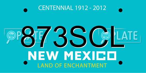 873SCL New Mexico License Plate
