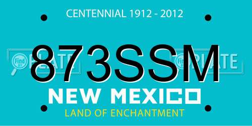 873SSM New Mexico License Plate