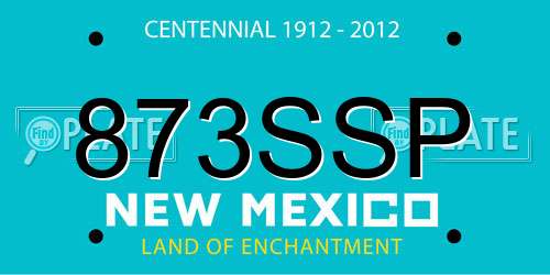 873SSP New Mexico License Plate