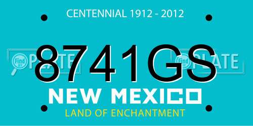 8741GS New Mexico License Plate