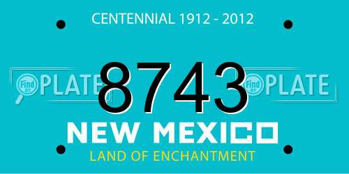 8743 New Mexico License Plate
