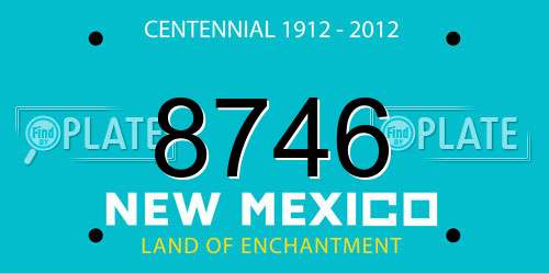 8746 New Mexico License Plate