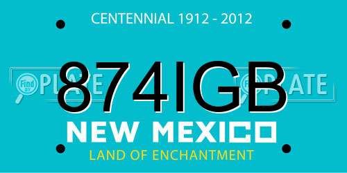 874IGB New Mexico License Plate