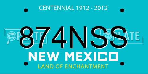 874NSS New Mexico License Plate