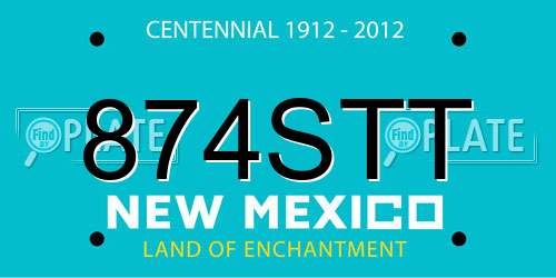 874STT New Mexico License Plate