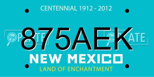 875AEK New Mexico License Plate