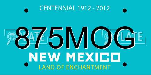 875MOG New Mexico License Plate