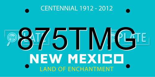 875TMG New Mexico License Plate