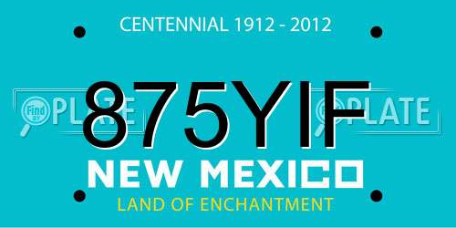 875YIF New Mexico License Plate