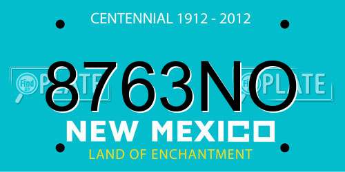 8763NO New Mexico License Plate