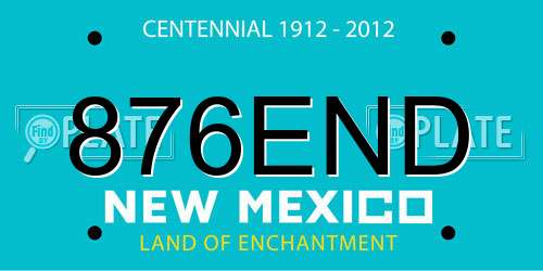 876END New Mexico License Plate