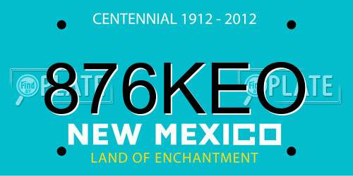 876KEO New Mexico License Plate