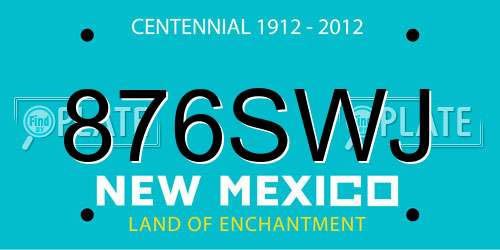 876SWJ New Mexico License Plate