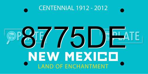 8775DE New Mexico License Plate