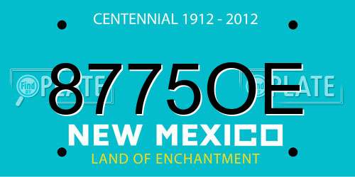 8775OE New Mexico License Plate