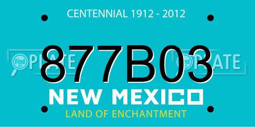 877B03 New Mexico License Plate