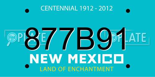 877B91 New Mexico License Plate