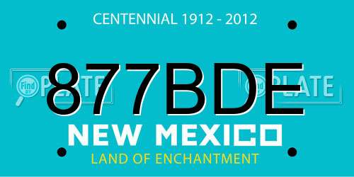 877BDE New Mexico License Plate