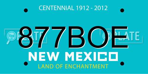 877BOE New Mexico License Plate