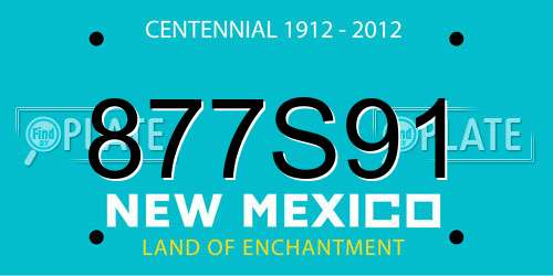 877S91 New Mexico License Plate
