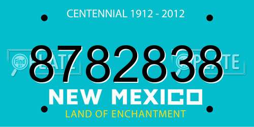 8782838 New Mexico License Plate
