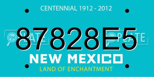 87828E5 New Mexico License Plate