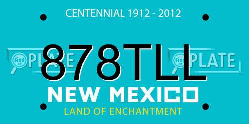 878TLL New Mexico License Plate