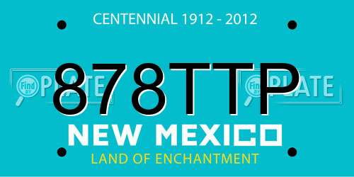 878TTP New Mexico License Plate