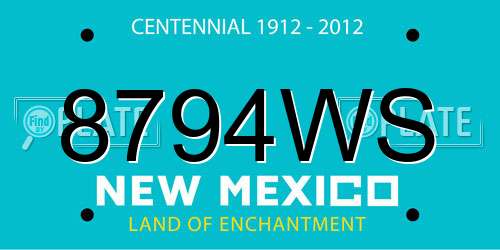 8794WS New Mexico License Plate