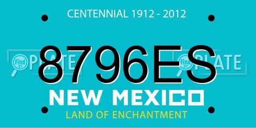 8796ES New Mexico License Plate