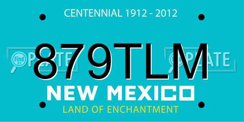 879TLM New Mexico License Plate