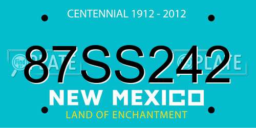 87SS242 New Mexico License Plate