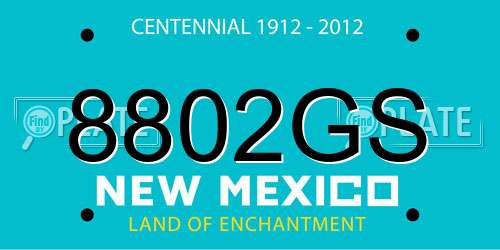8802GS New Mexico License Plate