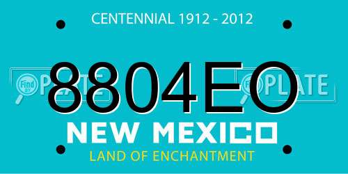 8804EO New Mexico License Plate