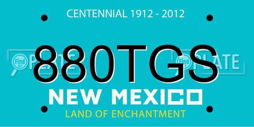 880TGS New Mexico License Plate