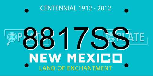 8817SS New Mexico License Plate
