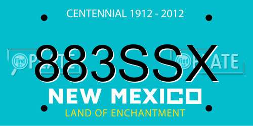883SSX New Mexico License Plate