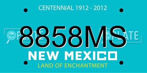 8858MS New Mexico License Plate