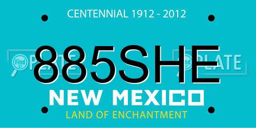 885SHE New Mexico License Plate