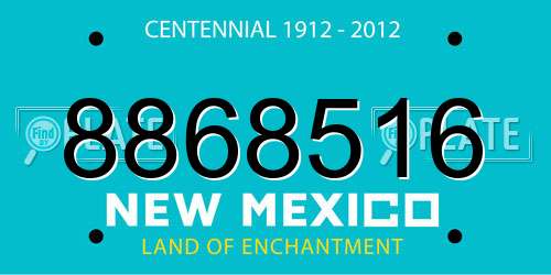 8868516 New Mexico License Plate