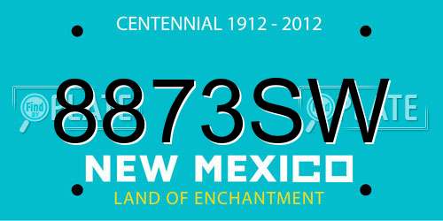 8873SW New Mexico License Plate