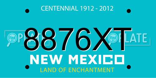 8876XT New Mexico License Plate