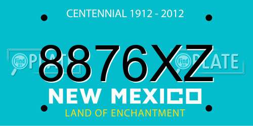 8876XZ New Mexico License Plate